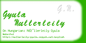 gyula mullerleily business card